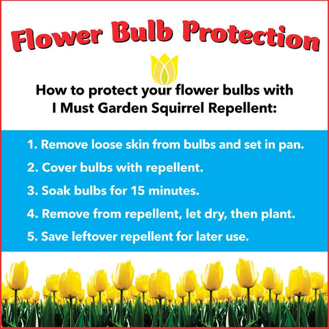 IMUSTGARDEN Squirrel Repellent protects outdoor furniture and decking