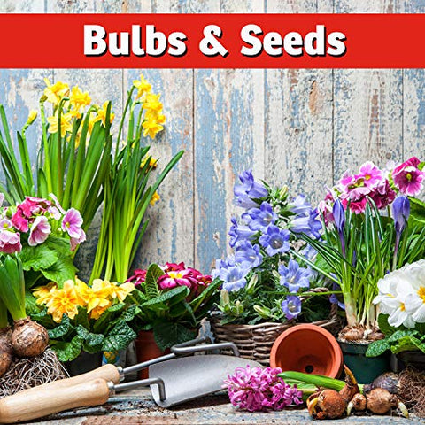 IMUSTGARDEN Squirrel Repellent used outdoors during garden season