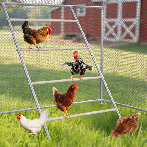 Inanil chicken perch roosting bars provide natural rest and comfort inside the coop.