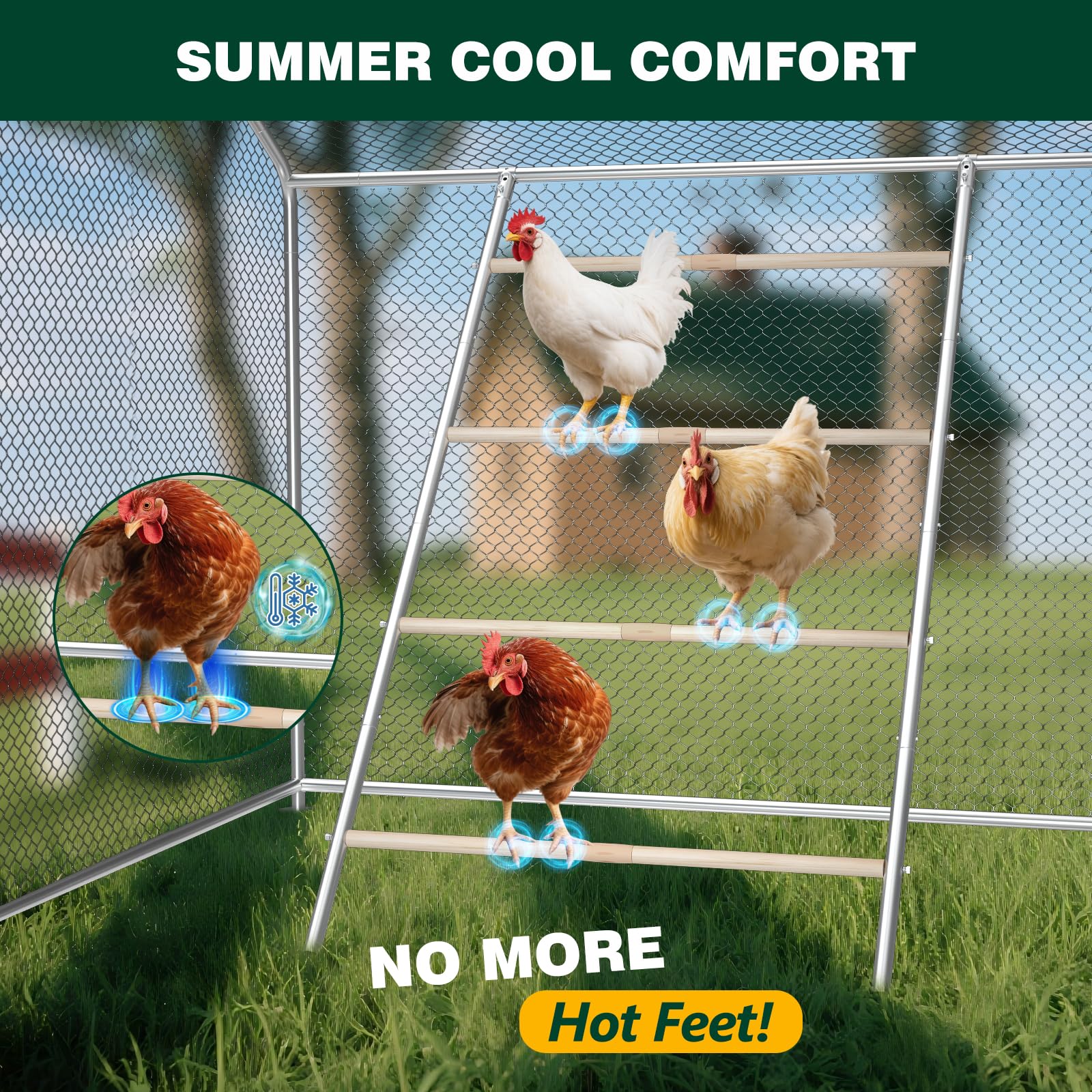 Inanil four-tier perch increases resting spots for multiple birds.