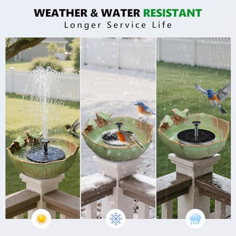 Inanil large ceramic bird bath bowl ten-inch diameter ready for birds to bathe and drink.