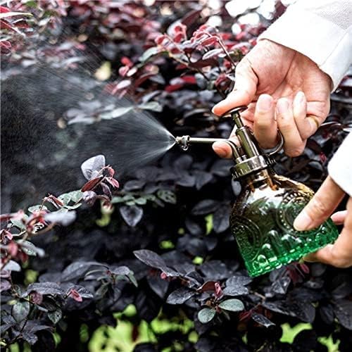 INANNING glass plant mister misting action for gentle leafcare