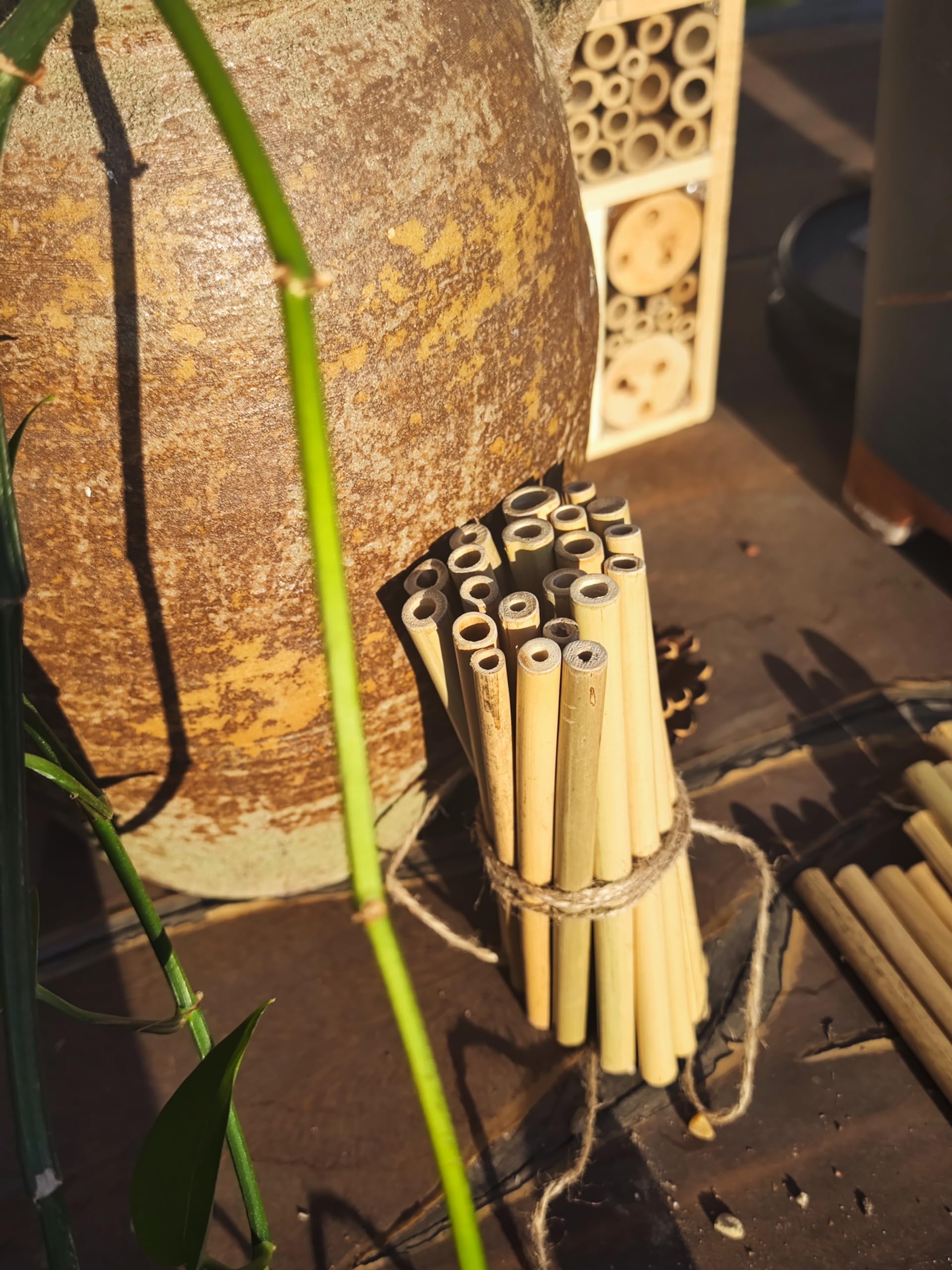 INATURE bamboo tubes bee-hotel refill keeps habitats thriving year after year