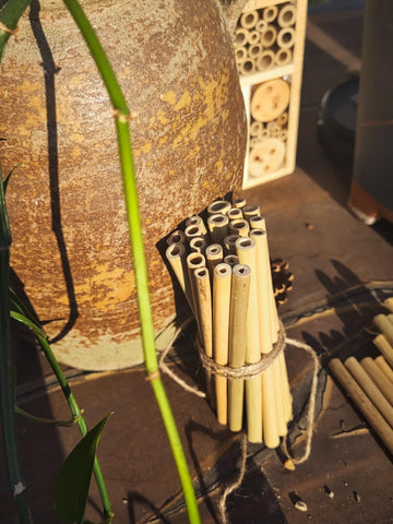 INATURE bamboo tubes bee-hotel refill keeps habitats thriving year after year
