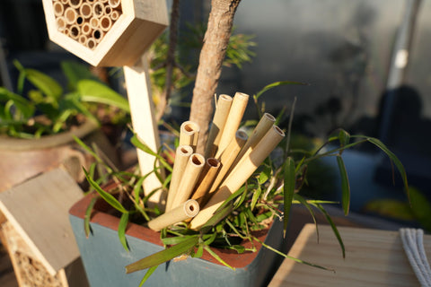 INATURE bamboo tubes easy-handling design simplifies DIY hotel assembly