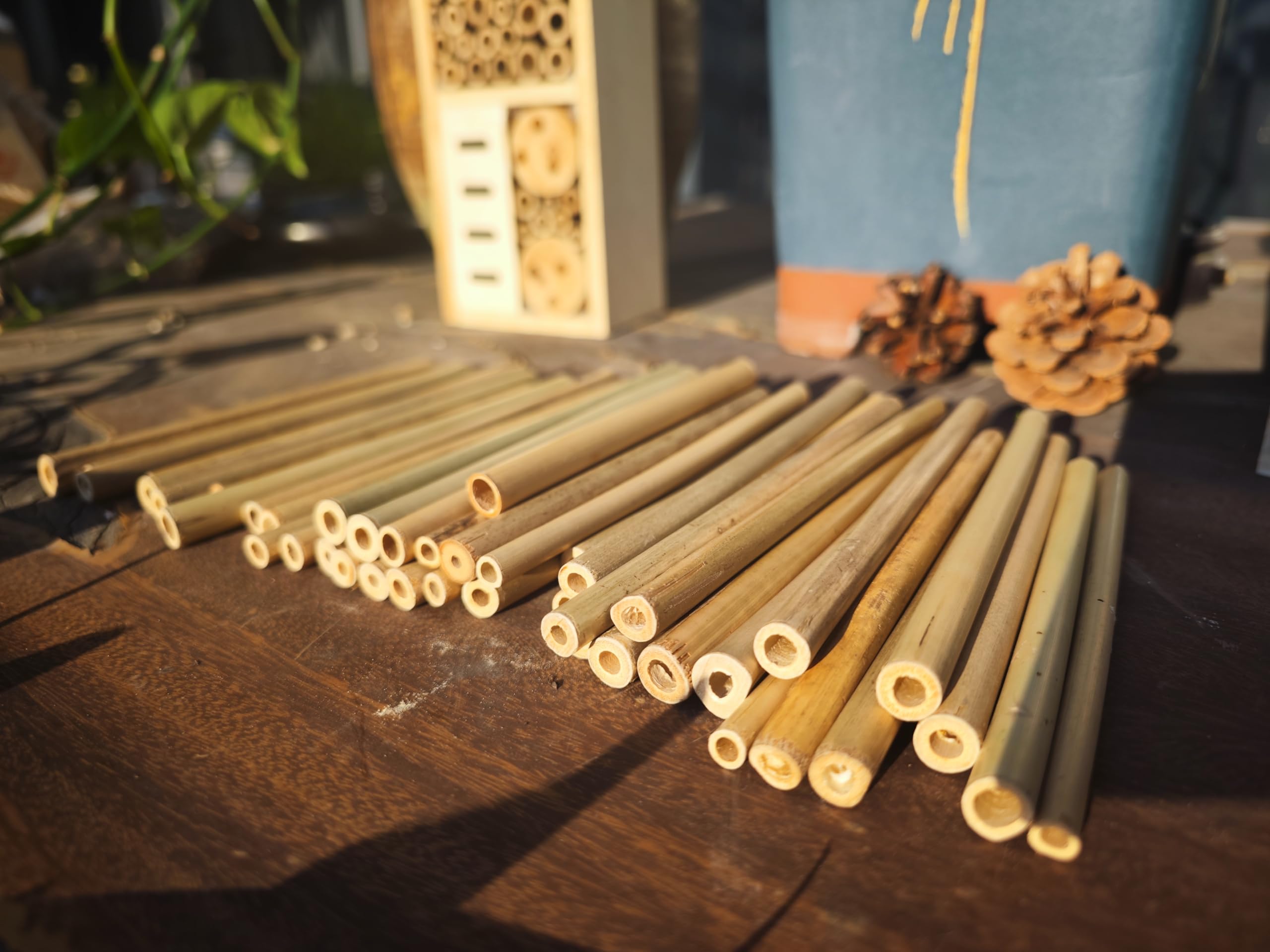 INATURE bamboo tubes garden pollinator setup promotes healthier blooms and vibrant ecosystems