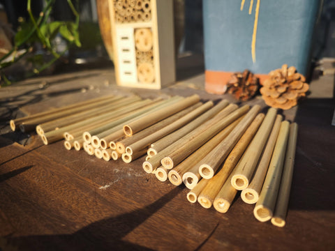 INATURE bamboo tubes garden pollinator setup promotes healthier blooms and vibrant ecosystems