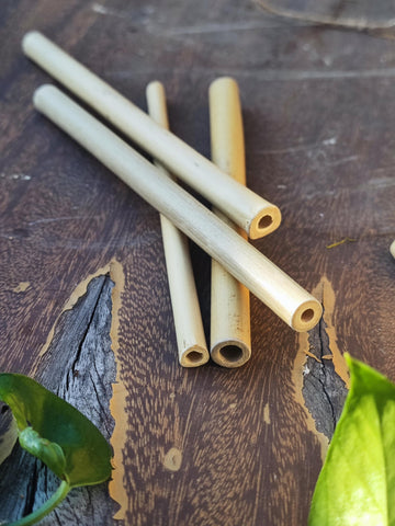 INATURE bamboo tubes varied inner diameters accommodate multiple bee species