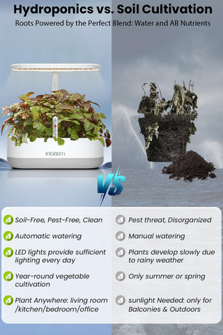 inBloom 12 planting stations designed for herbs, greens, and flowers