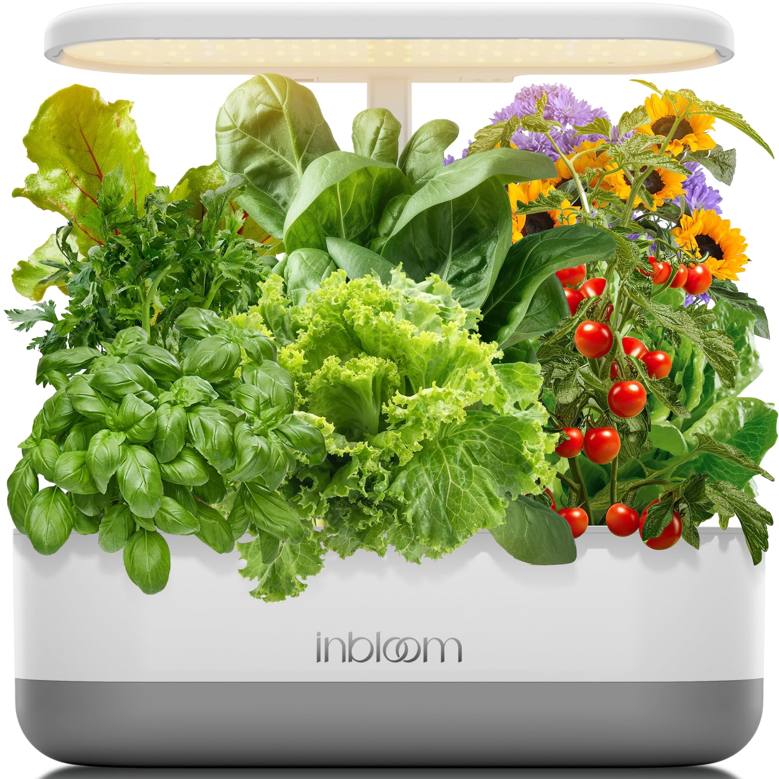 inBloom 12-pod hydroponics system with 12 planting stations for compact indoor gardening