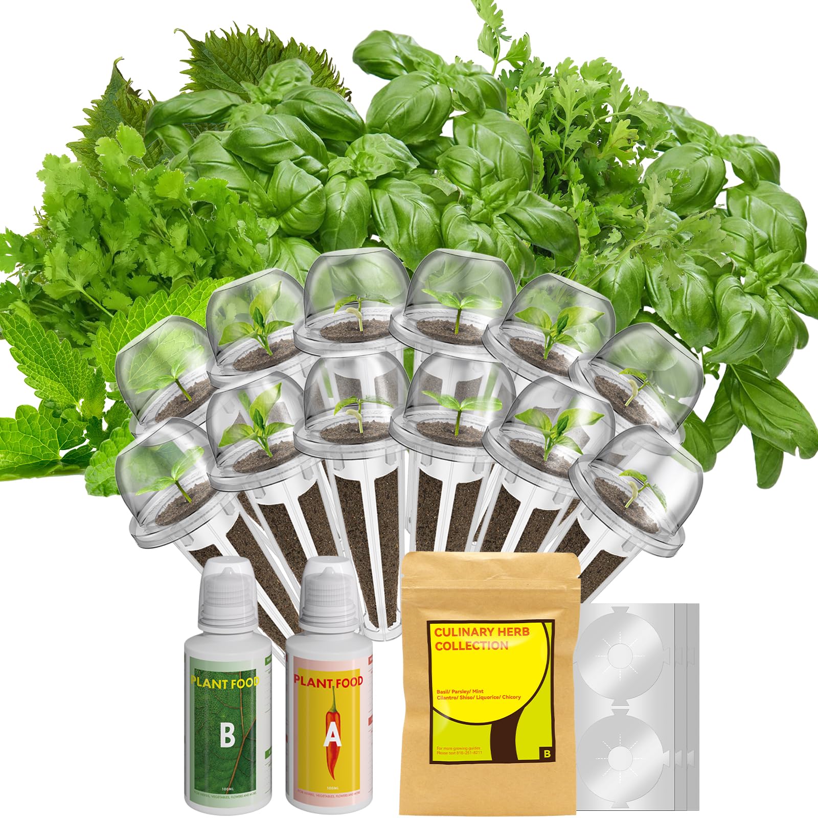 InBloom 12-Pod Gourmet seed kit box with accessories for easy indoor herb growing.