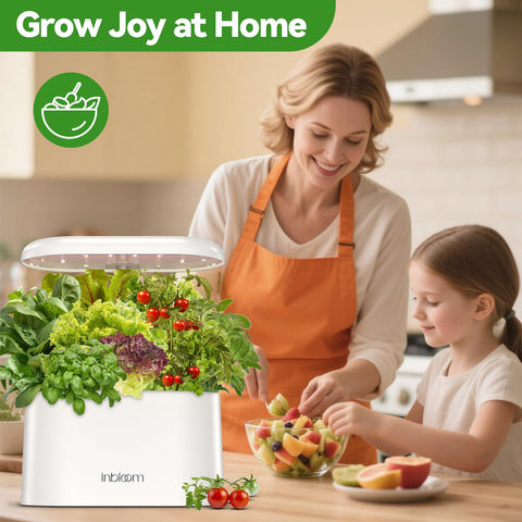 Inbloom 12-pod seed kit dwarf pea for fresh green pods at home.