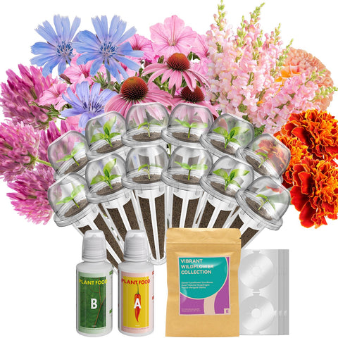 Inbloom 12pod seed pod kit for vibrant indoor blooms