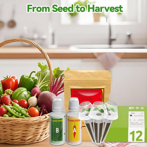 Inbloom 12-pod seed kit ruby queen beet for vibrant harvests.