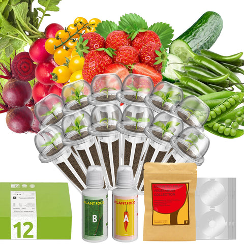 Inbloom 12-pod seed kit strawberry for fresh, indoor desserts and garden variety produce.