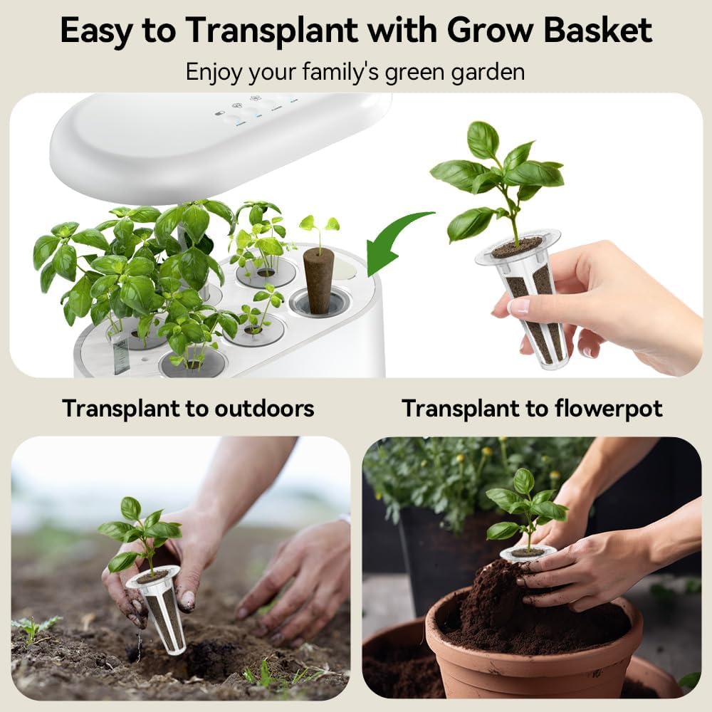 Inbloom growing sponges deliver nutrients, balanced pH, and airy roots.
