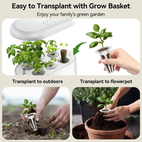 Inbloom growing sponges deliver nutrients, balanced pH, and airy roots.