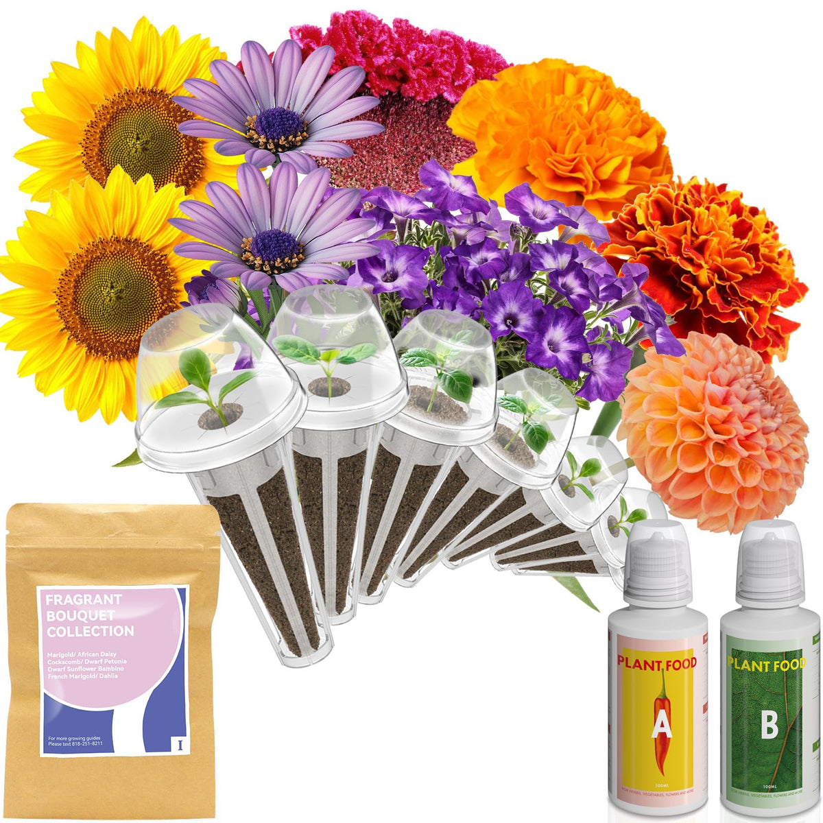 inbloom Fragrant Bouquet seed pod kit for AeroGarden shows ready-to-grow seeds for vibrant indoor blooms.