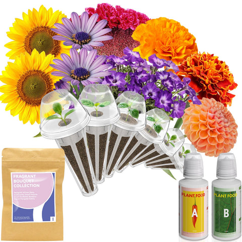 inbloom Fragrant Bouquet seed pod kit for AeroGarden shows ready-to-grow seeds for vibrant indoor blooms.