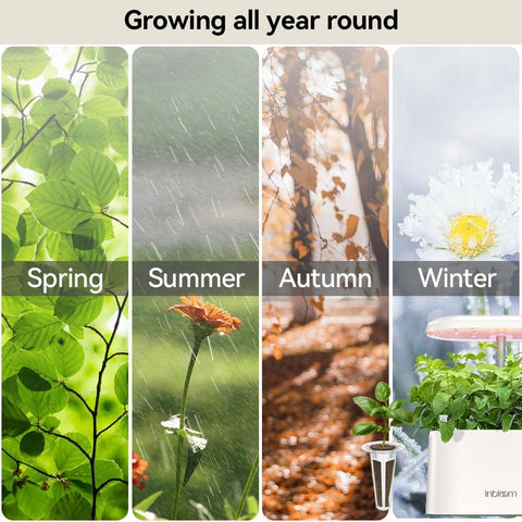inbloom GardenCube compatible pods show easy integration with popular systems.