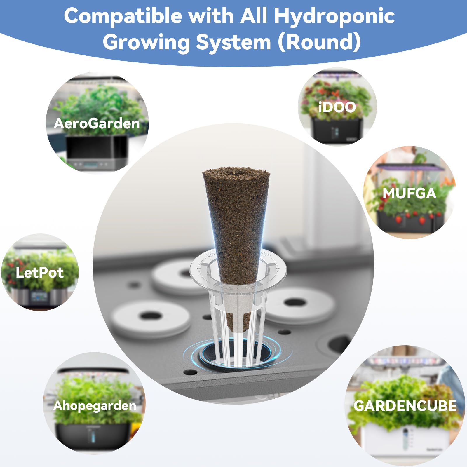 inbloom Grow Sponges enable easy transplantation to larger systems