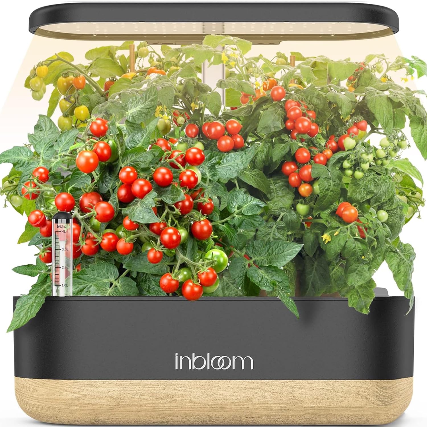 Inbloom hydroponics 12-pod system shows compact indoor herb garden for year-round harvests