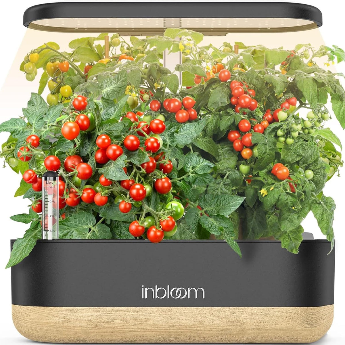 Inbloom hydroponics 12-pod system shows compact indoor herb garden for year-round harvests