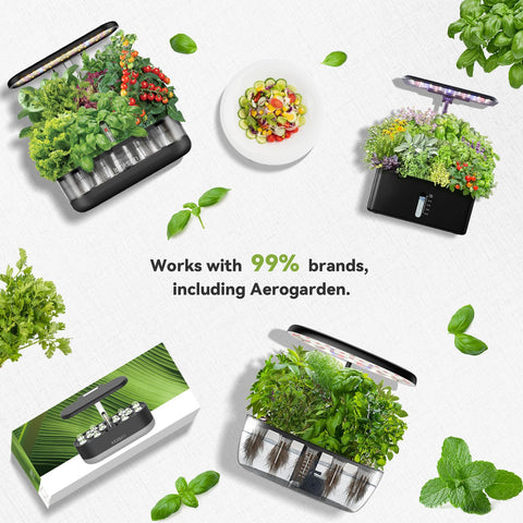 InBloom indoor herb garden starter kit for quick, flavorful herbs at home.