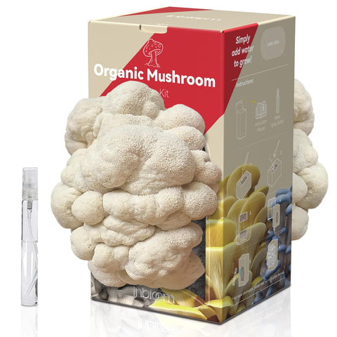 inbloom lion's mane growing kit front view for home mushroom cultivation