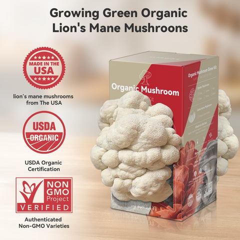 inbloom lion's mane growing kit packaging opened for home cultivation