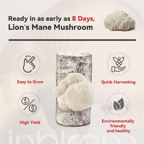 inbloom lion's mane kit inside an indoor garden setup