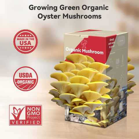 inbloom gift packaging for holiday gifting to garden lovers.