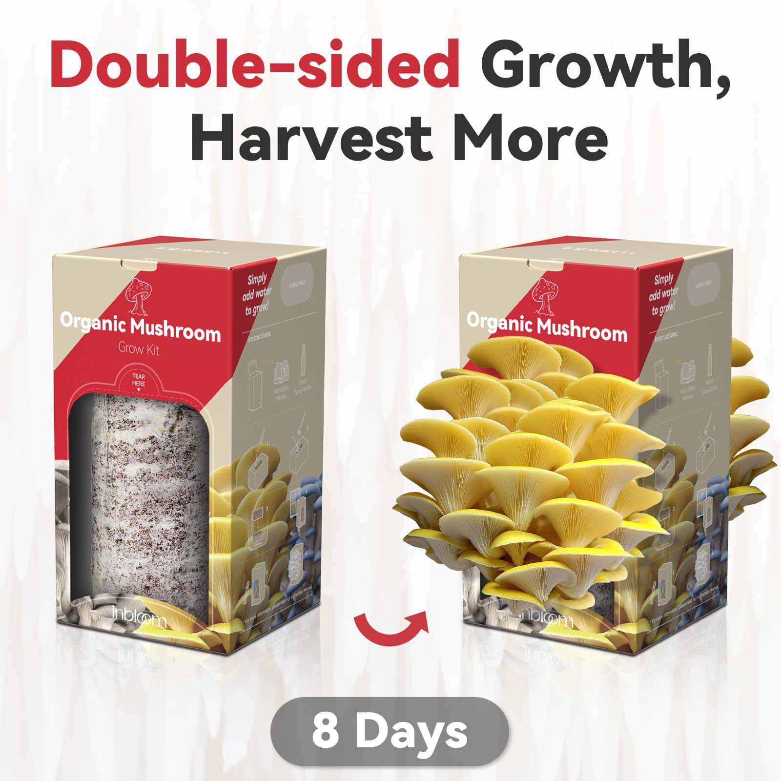 inbloom Organic Golden Oyster Mushroom kit spray bottle beside bag, emphasizing regular misting for yields.