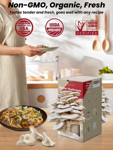 inbloom oyster mushrooms growth closeup, fresh harvest potential within days