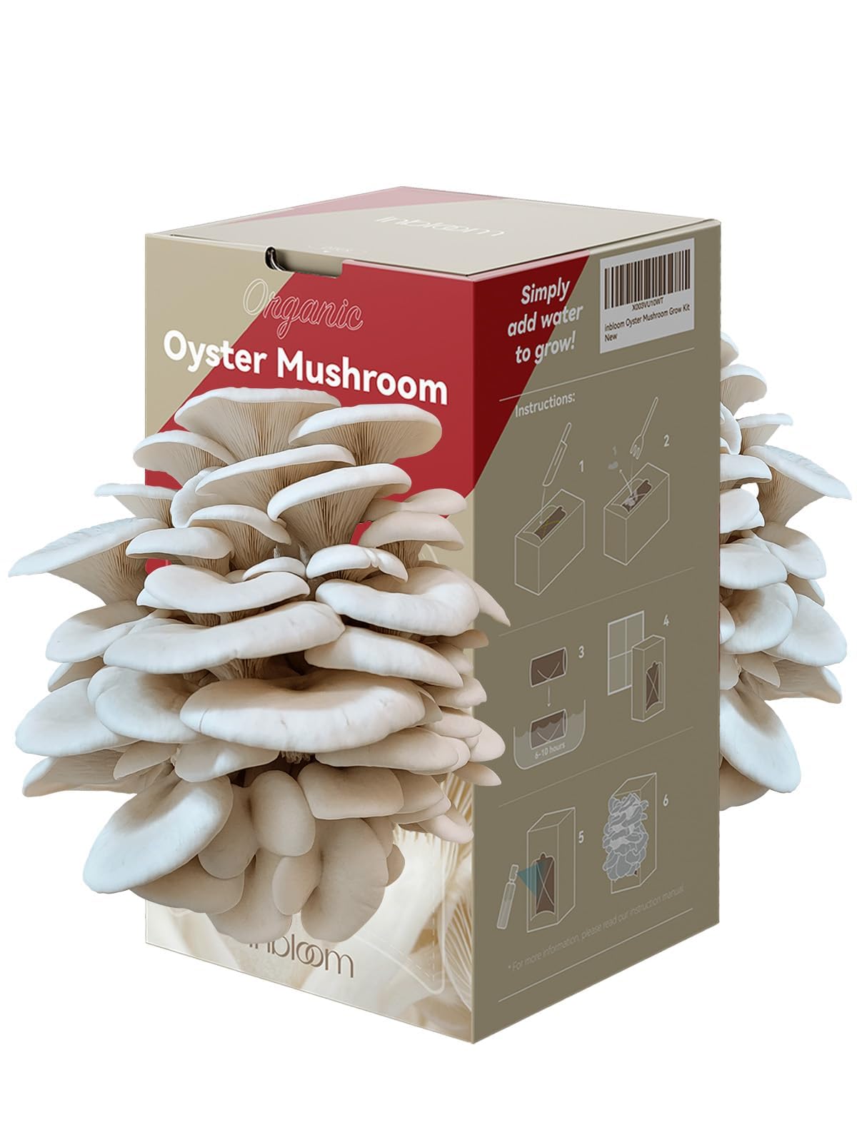 inbloom oyster mushroom kit packaging, gift-ready presentation for holiday gifting