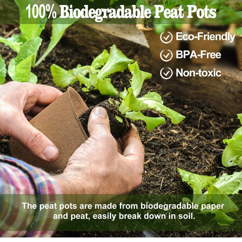 INCIKITI biodegradable paper peat mix supports sustainable planting