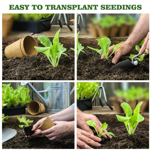 Environmentally friendly INCIKITI pots decompose naturally after planting