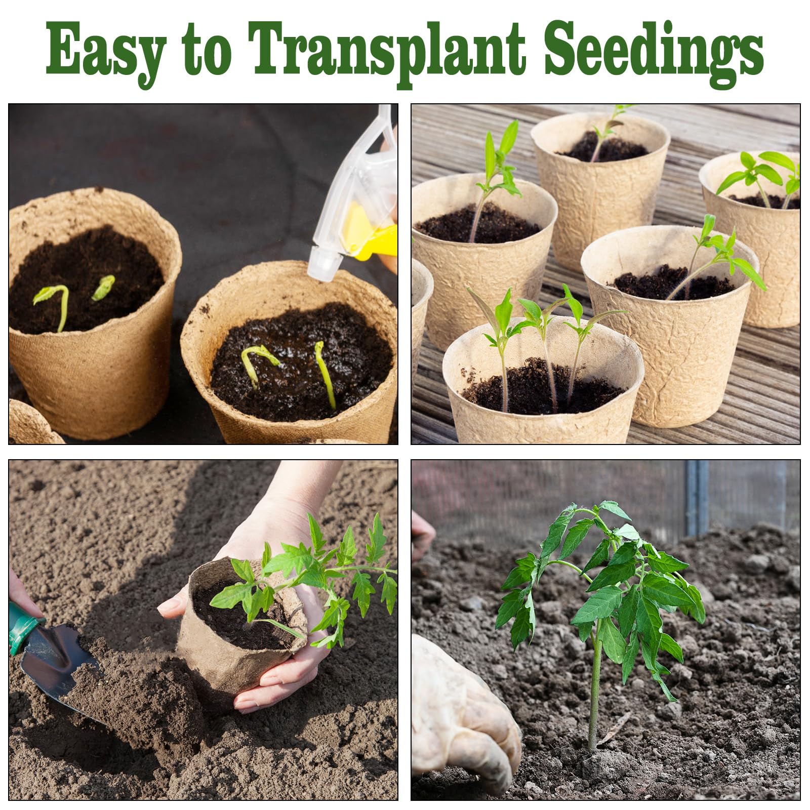 INCIKITI seed starters for flowers and vegetables in home gardens