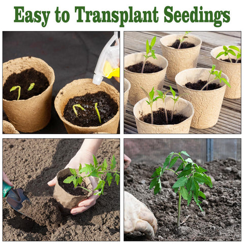 INCIKITI seed starters for flowers and vegetables in home gardens
