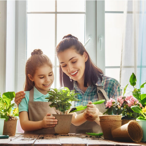 INCIKITI garden nursery pots suitable for starting seedlings indoors
