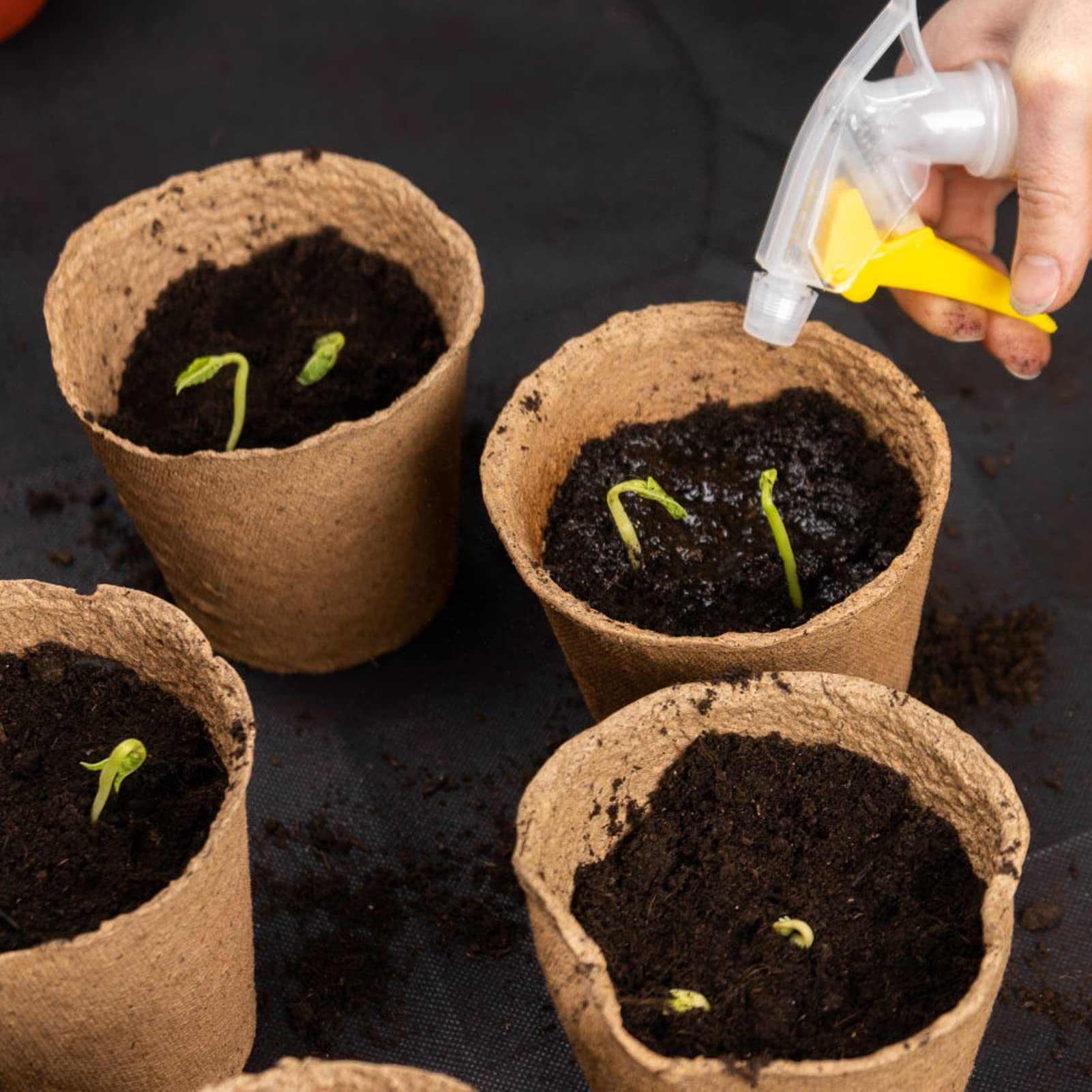 Khaki INCIKITI kit packaging ready for home gardening projects