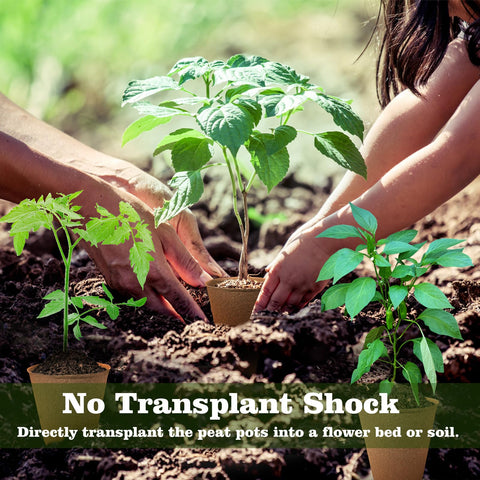 Direct transplant compatible pot allowing roots to stay intact