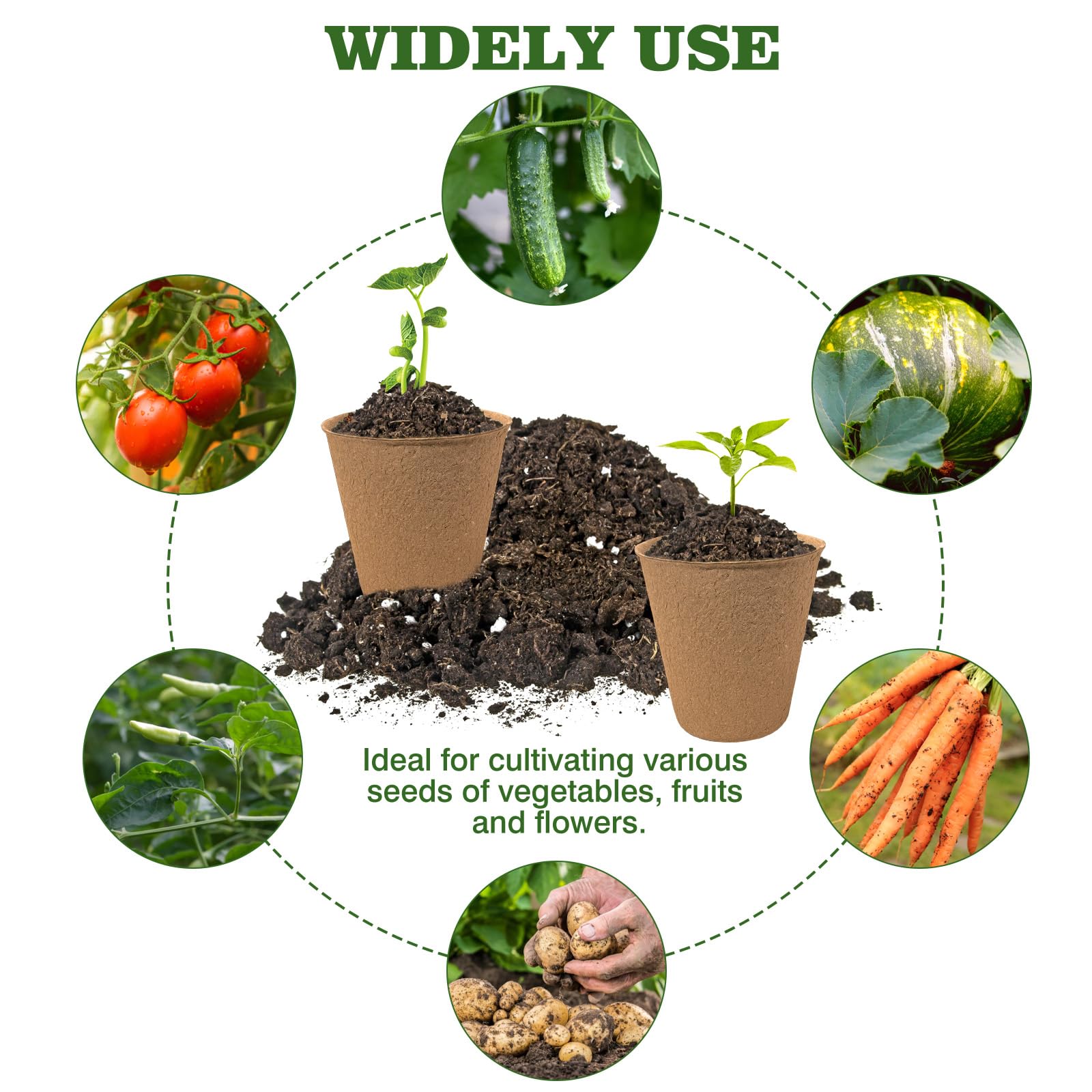 INCIKITI seed starter kit in-use for easy gardening setup