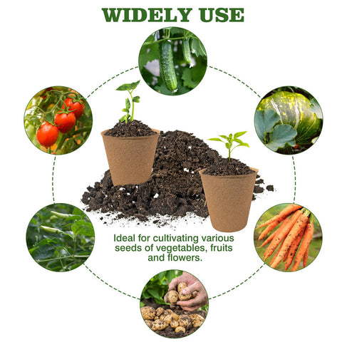 INCIKITI seed starter kit in-use for easy gardening setup