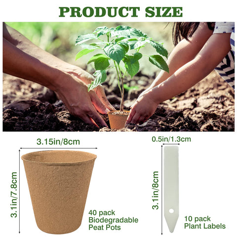 INCIKITI seedling trays with 10 labels for organized germination