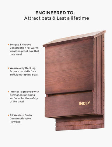 INCLY bat house landing platform shows improved traction for bats arriving at night
