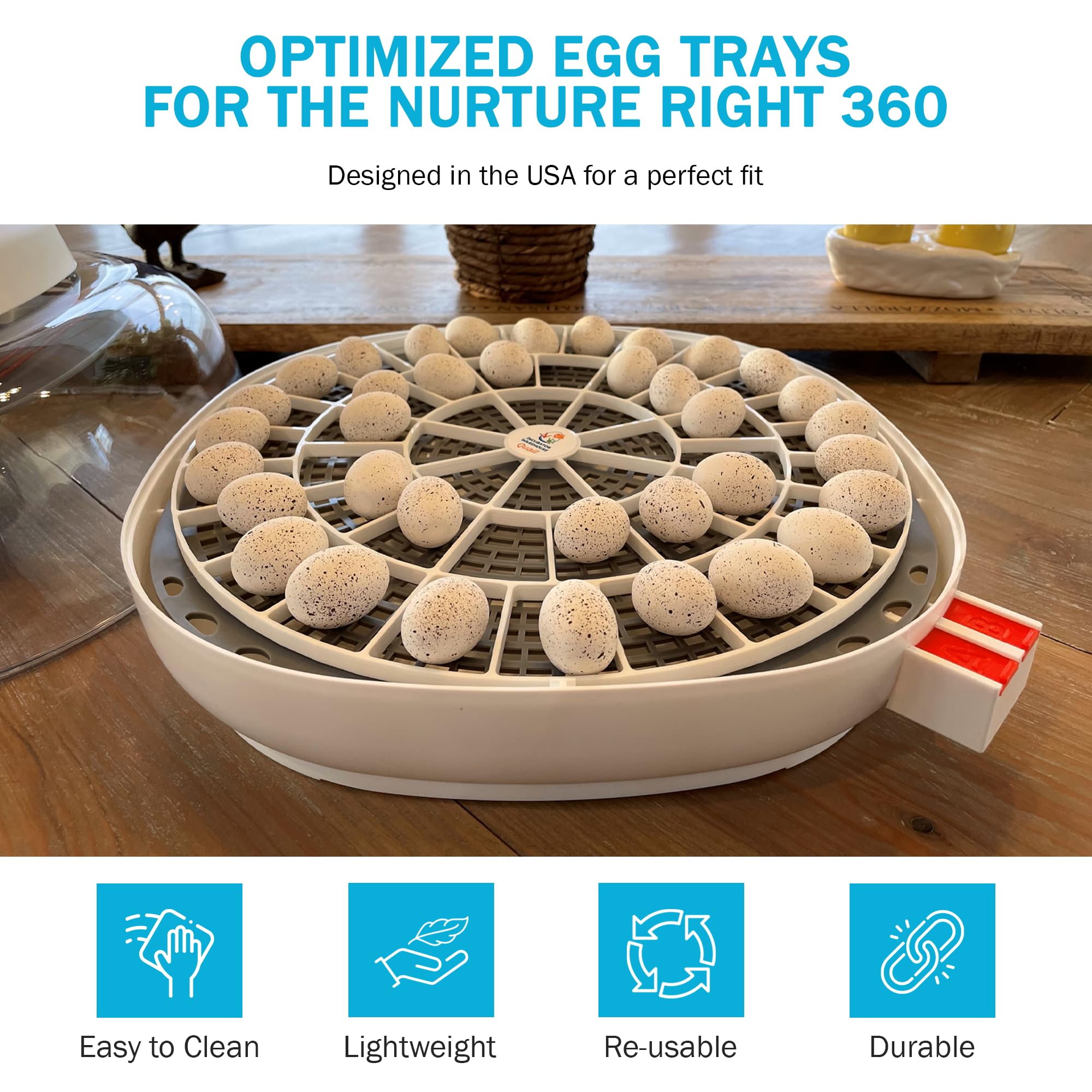Incubator Warehouse egg tray for 22 chicken eggs with improved airflow.