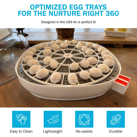 Incubator Warehouse egg tray for 22 chicken eggs with improved airflow.