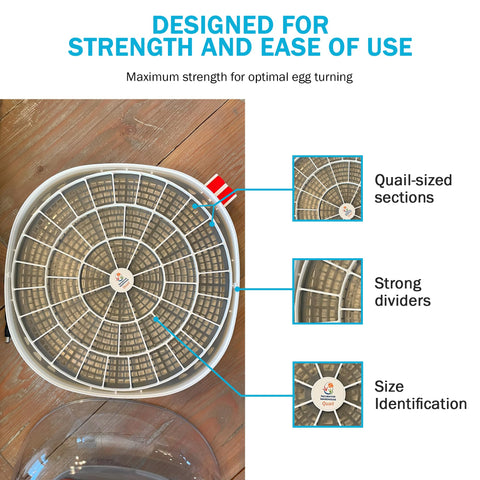 Incubator Warehouse egg tray for emu eggs (4), with secure layout.
