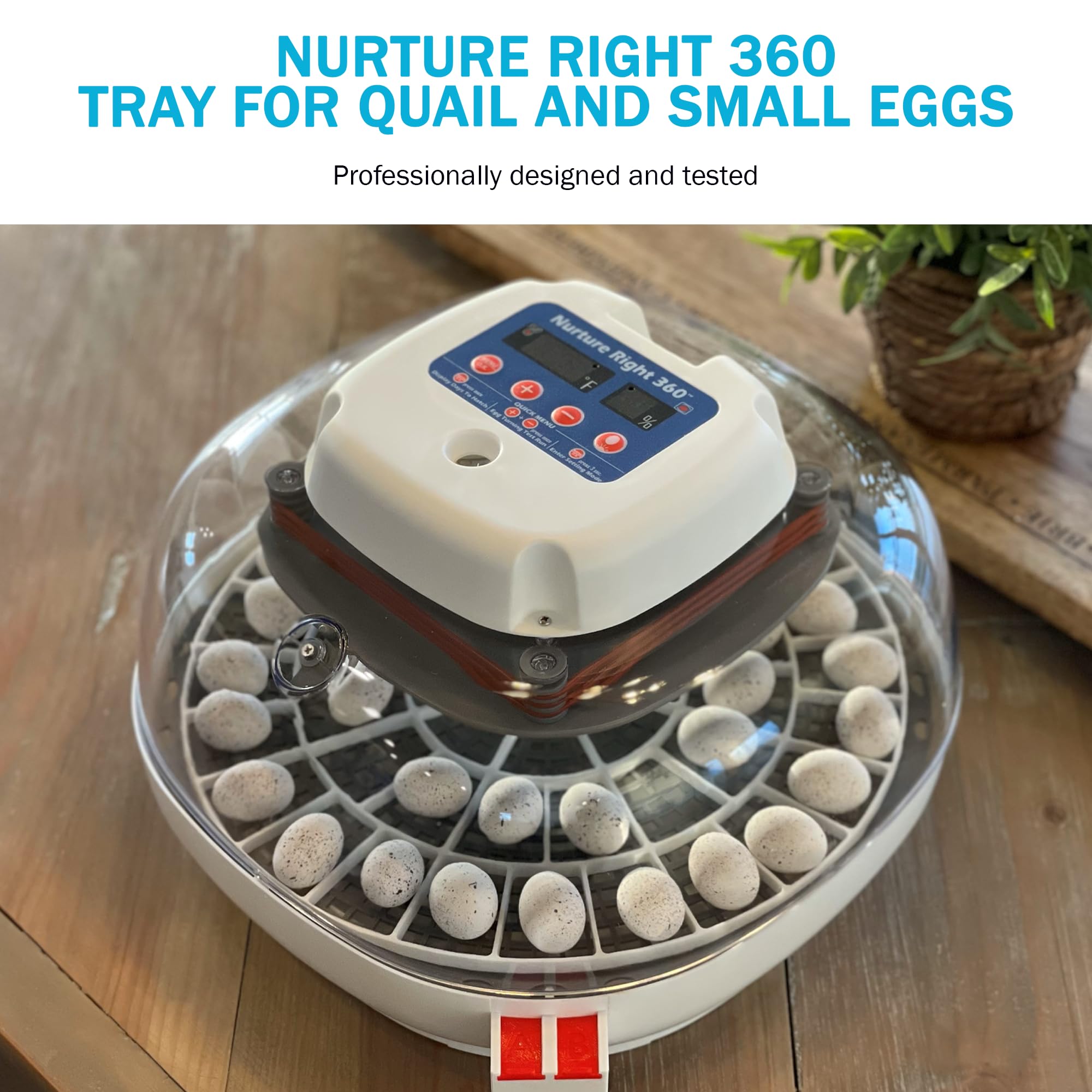 Incubator Warehouse hand-washable egg tray for easy cleaning.